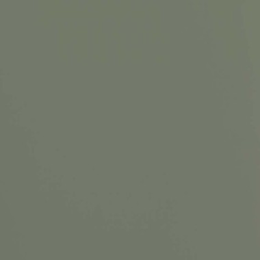 Próbka F143 Reed Green